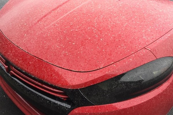 bề mặt sơn xe màu đỏ bị ăn mòn bởi nước mưa