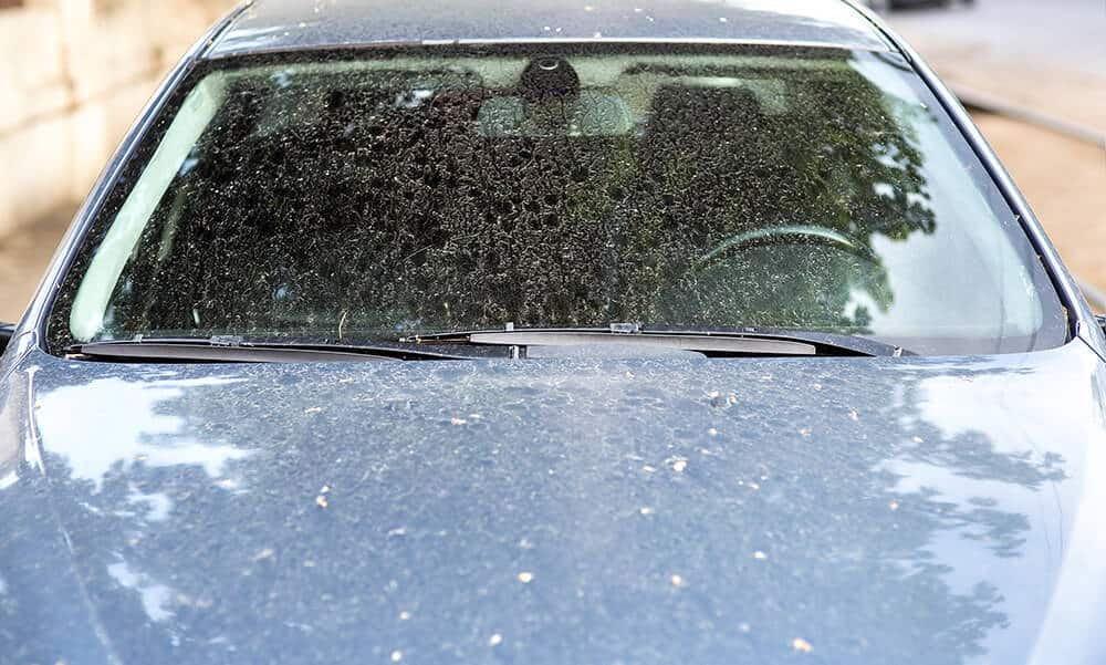 Tẩy vết ố mưa: Nếu bạn muốn bảo vệ chiếc xe của mình khỏi những vết bẩn và ố mưa, hãy xem hình ảnh này và khám phá giải pháp tẩy sạch những vết bẩn đó.
